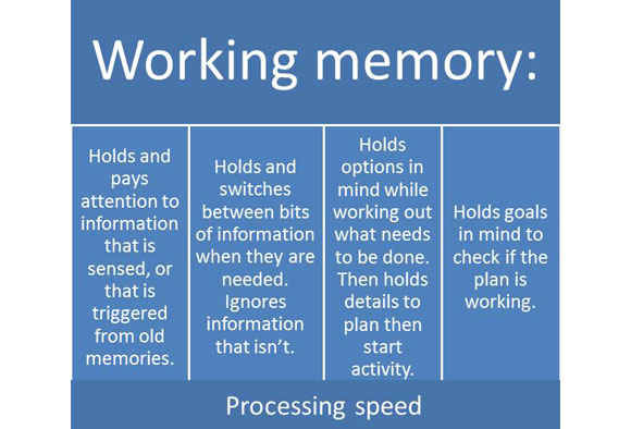 working memory